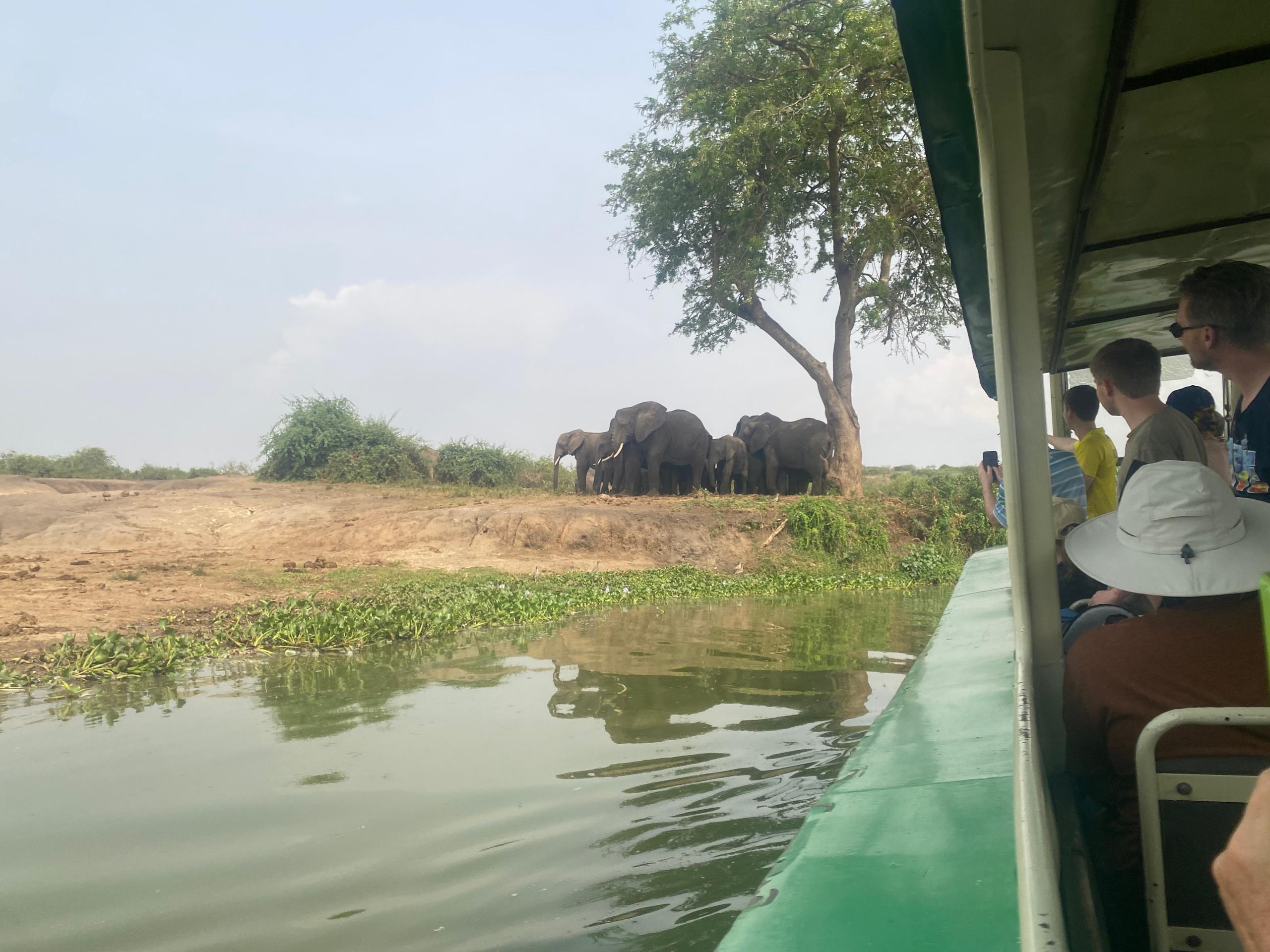 Kazinga Channel Boat Safari