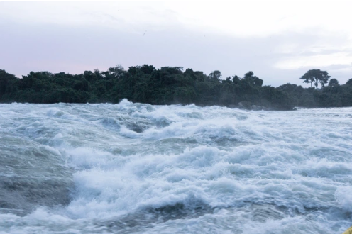 Source of the Nile Expedition